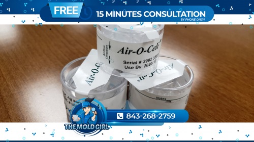 Image for The Mold Girl with ID of: 4425984