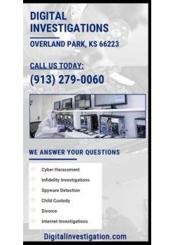 Image for Digital Investigations with ID of: 4431596