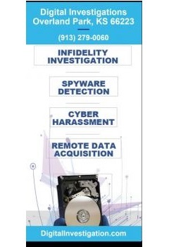 Image for Digital Investigations with ID of: 4431597