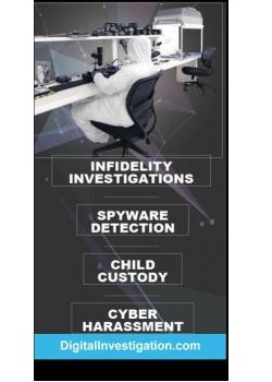 Image for Digital Investigations with ID of: 4431599