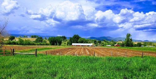 Image for 5280° Farm & Apothecary with ID of: 4432919