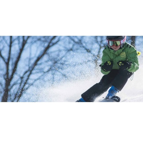 Image for American Ski Exchange - Vail Ski Rentals with ID of: 4437190