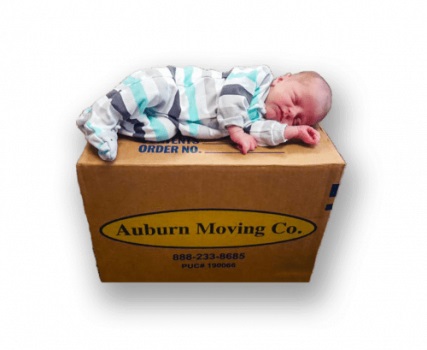 Image for Auburn Moving & Storage with ID of: 4440058