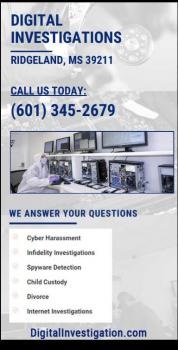 Image for Digital Investigations with ID of: 4440652