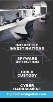 Image for Digital Investigations with ID of: 4440663