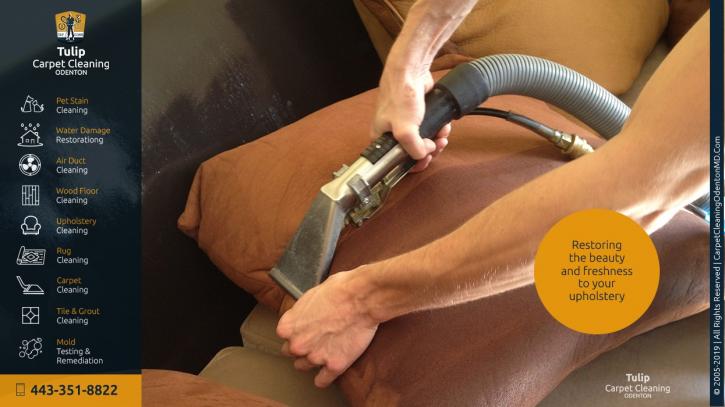 Image for Tulip Carpet Cleaning Odenton with ID of: 4441458