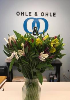 Image for Leanne L. Ohle, P.A. with ID of: 4444538