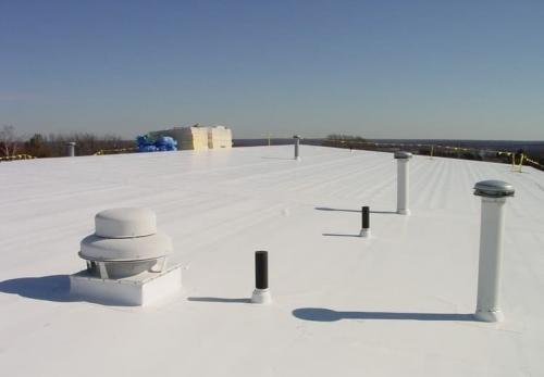 Image for Flat Roof Inc. with ID of: 4448295