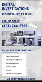 Image for Digital Investigations with ID of: 4451958