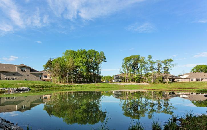 Image for The Reserve at Seven Points by Frank Batson Homes with ID of: 4455605