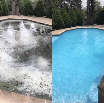 Image for Pool Professor with ID of: 4460602