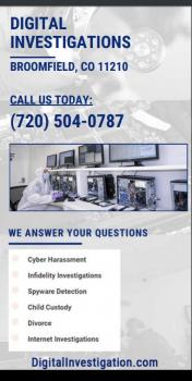 Image for Digital Investigations with ID of: 4460748
