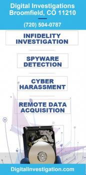 Image for Digital Investigations with ID of: 4460749