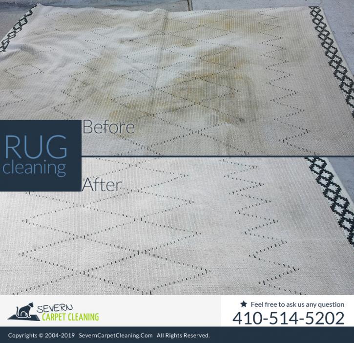 Image for Severn Carpet Cleaning with ID of: 4462142