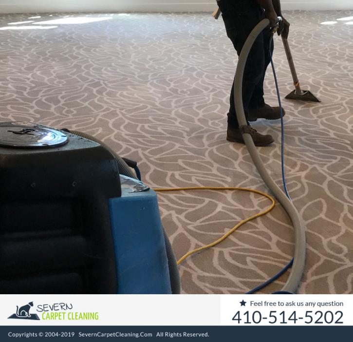 Image for Severn Carpet Cleaning with ID of: 4462143