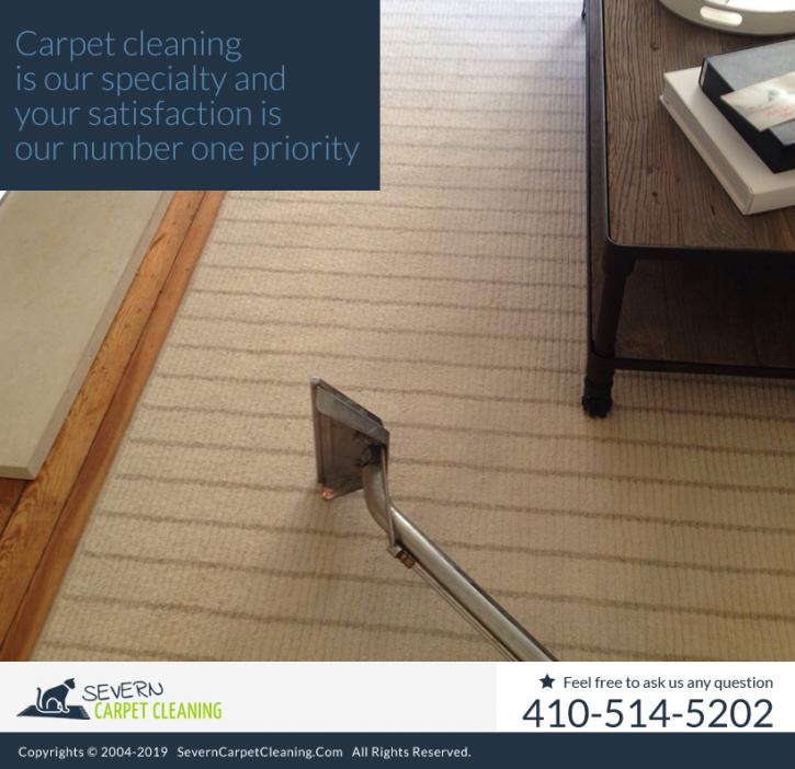 Image for Severn Carpet Cleaning with ID of: 4462145