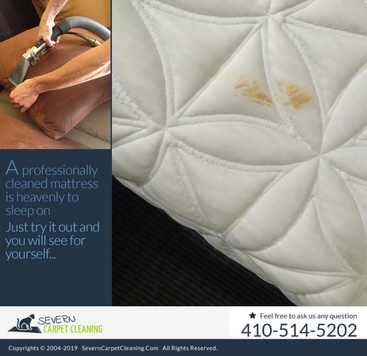 Image for Severn Carpet Cleaning with ID of: 4462147