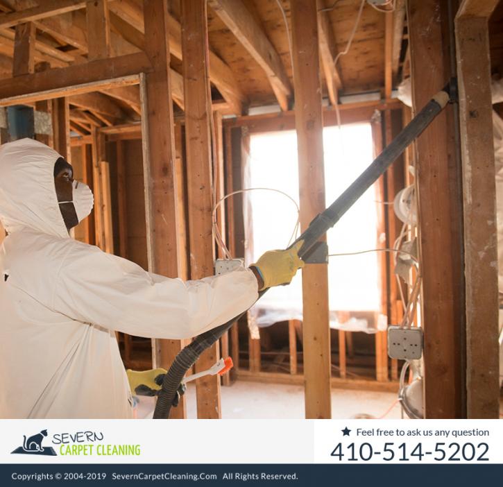 Image for Severn Carpet Cleaning with ID of: 4462148