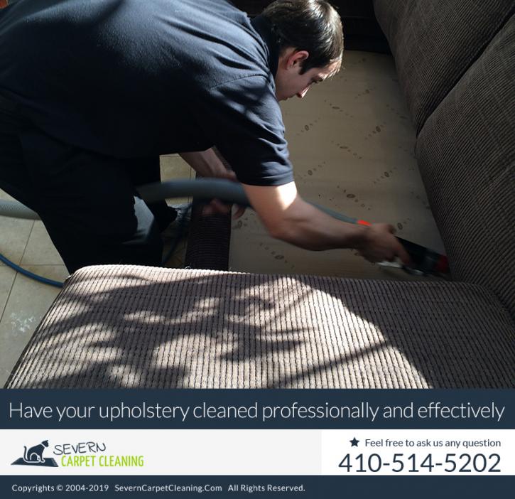 Image for Severn Carpet Cleaning with ID of: 4462150