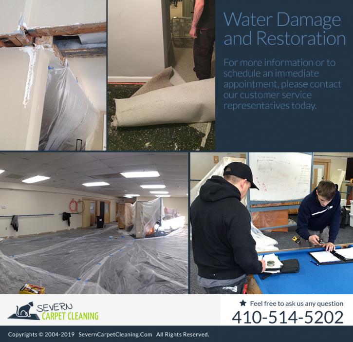 Image for Severn Carpet Cleaning with ID of: 4462152