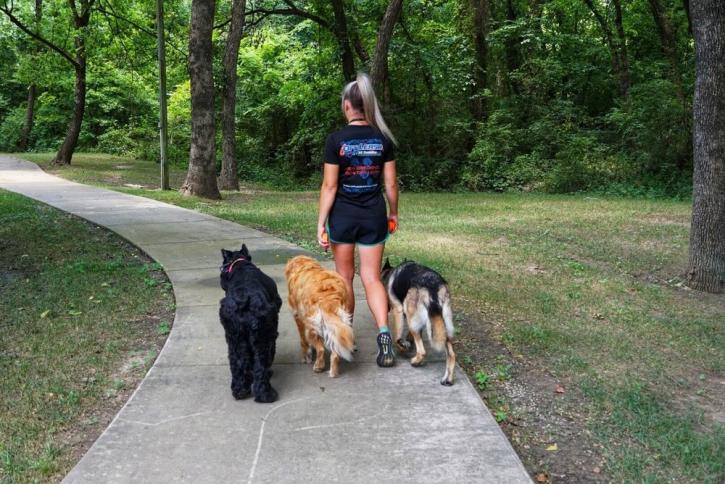 Image for Off Leash K9 Training Springfield with ID of: 4466891