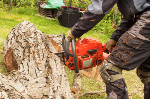 Image for Baton Rouge Tree Company with ID of: 4469268