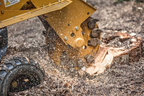 Image for Baton Rouge Tree Company with ID of: 4469270