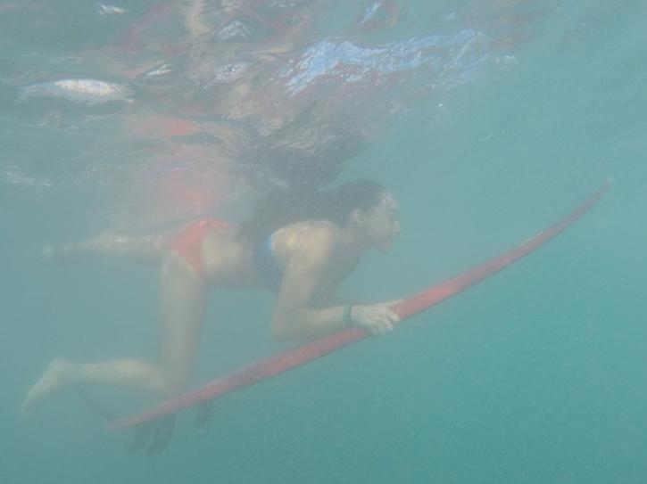 Image for Ohana Surf Project with ID of: 4471429