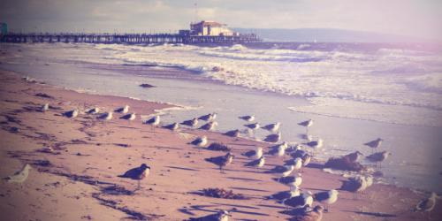 Image for Sea Change Recovery with ID of: 4485335