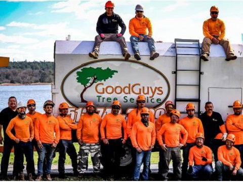 Image for Good Guys Tree Service with ID of: 4495489