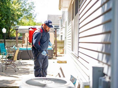 Image for Fox Pest Control with ID of: 4497404