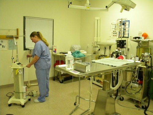 Image for Lakeside Veterinary Center, LLC with ID of: 4497562