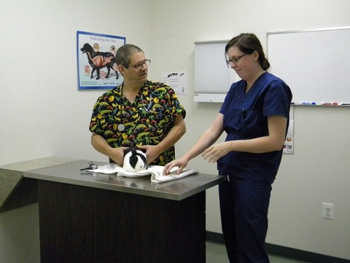 Image for Lakeside Veterinary Center, LLC with ID of: 4497563
