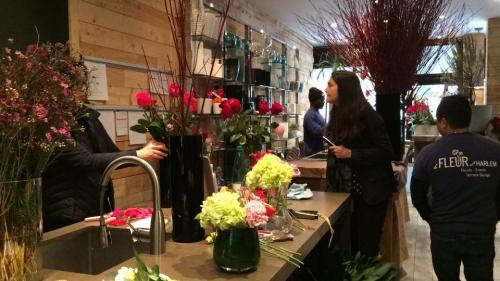 Image for la FLEUR d'HARLEM with ID of: 4498541