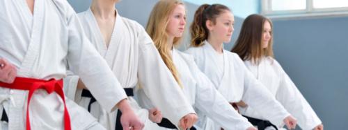 Image for Hall County Karate with ID of: 4509915