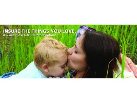 Image for 360 Insurance Company with ID of: 4516679