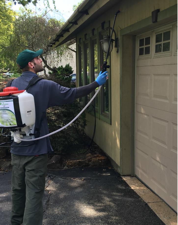 Image for Elk Grove Exterminators with ID of: 4518228