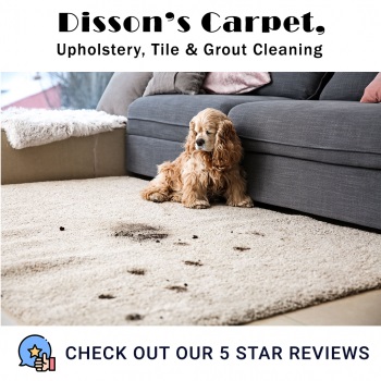 Image for Disson's Carpet, Upholstery, Tile & Grout Cleaning with ID of: 4521222