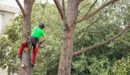 Image for Chuckwood Tree Service with ID of: 4537358