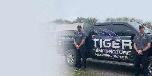 Image for Tiger Temperature with ID of: 4540627