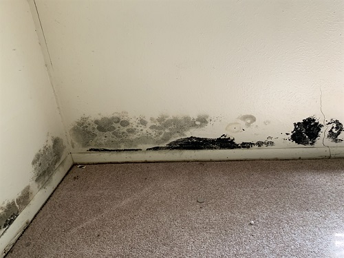 Image for Precision Environmental Services with ID of: 4542436