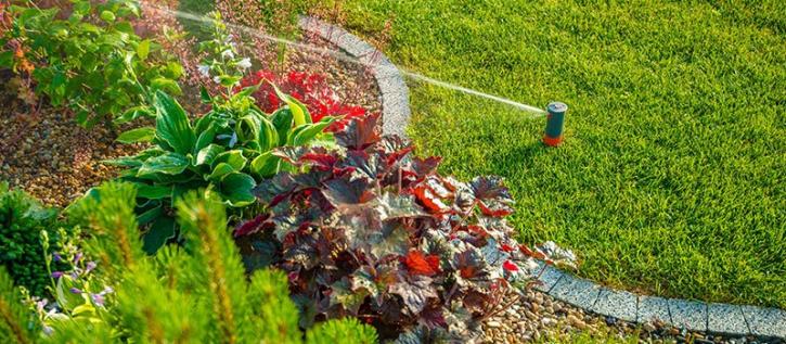 Image for Sprinkler Doctors with ID of: 4556426