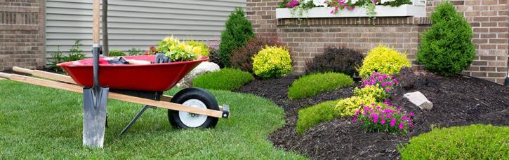 Image for Sprinkler Doctors with ID of: 4556442
