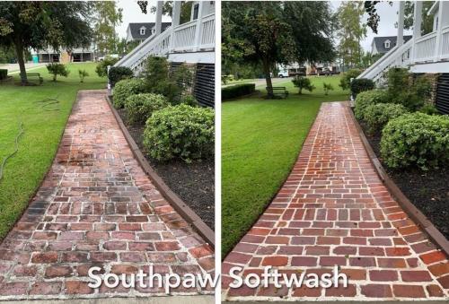 Image for Southpaw Softwash with ID of: 4558068
