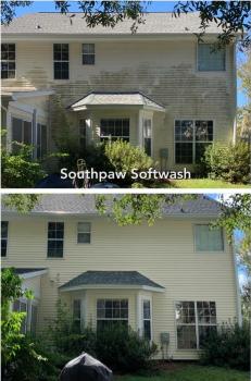 Image for Southpaw Softwash with ID of: 4558069