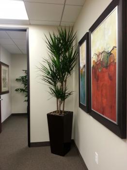 Image for MR. PLANT with ID of: 4558426