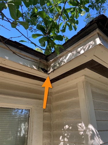 Image for Carter Home Inspections LLC with ID of: 4580157