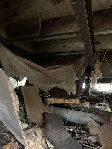 Image for Carter Home Inspections LLC with ID of: 4580160