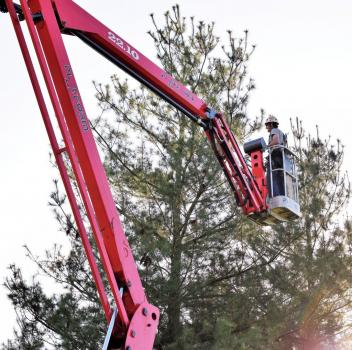 Image for Arthur Ratliff Tree and Stump Removal LLC with ID of: 4586078