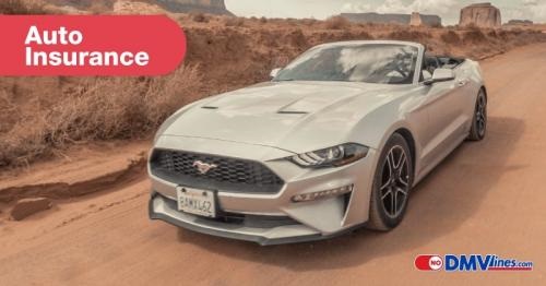 Image for Placas Insurance & Registration Services with ID of: 4587025
